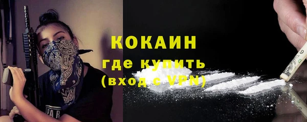 шишки Иннополис