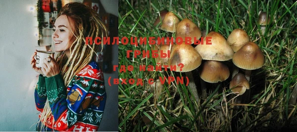 мяу мяу кристалл Инта