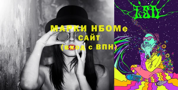 шишки Иннополис