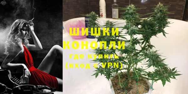 шишки Иннополис