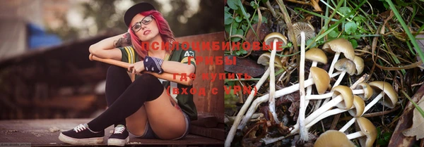 mix Инсар