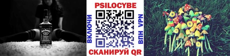 Купить закладки  Ефремов  Галлюциногенные грибы Magic Shrooms 